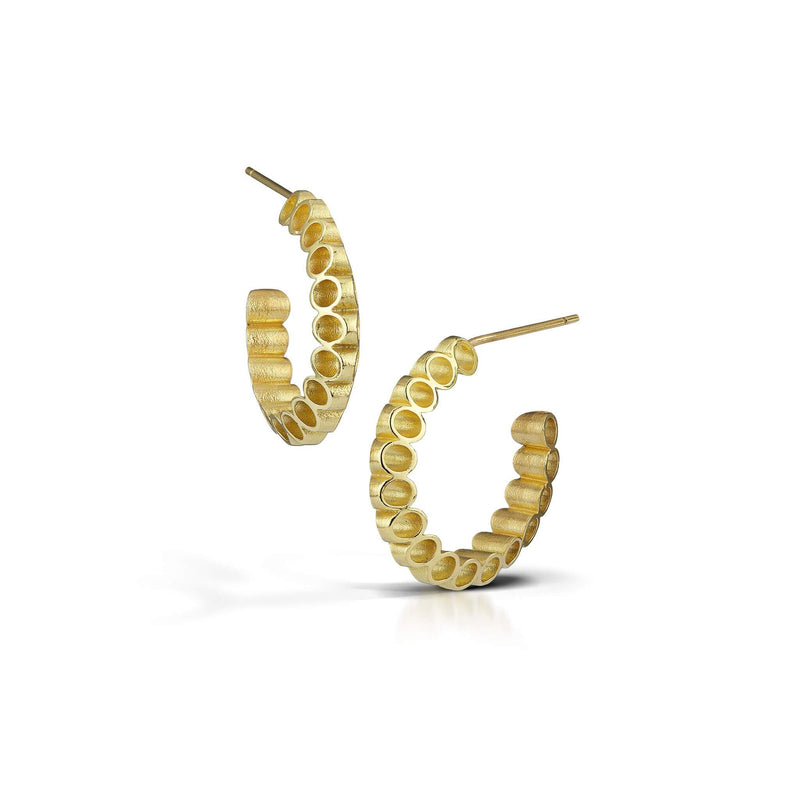 gold link hoop earrings